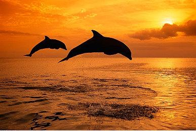 《诸神黄昏：英雄时代》Steam上线 开放世界生存建设